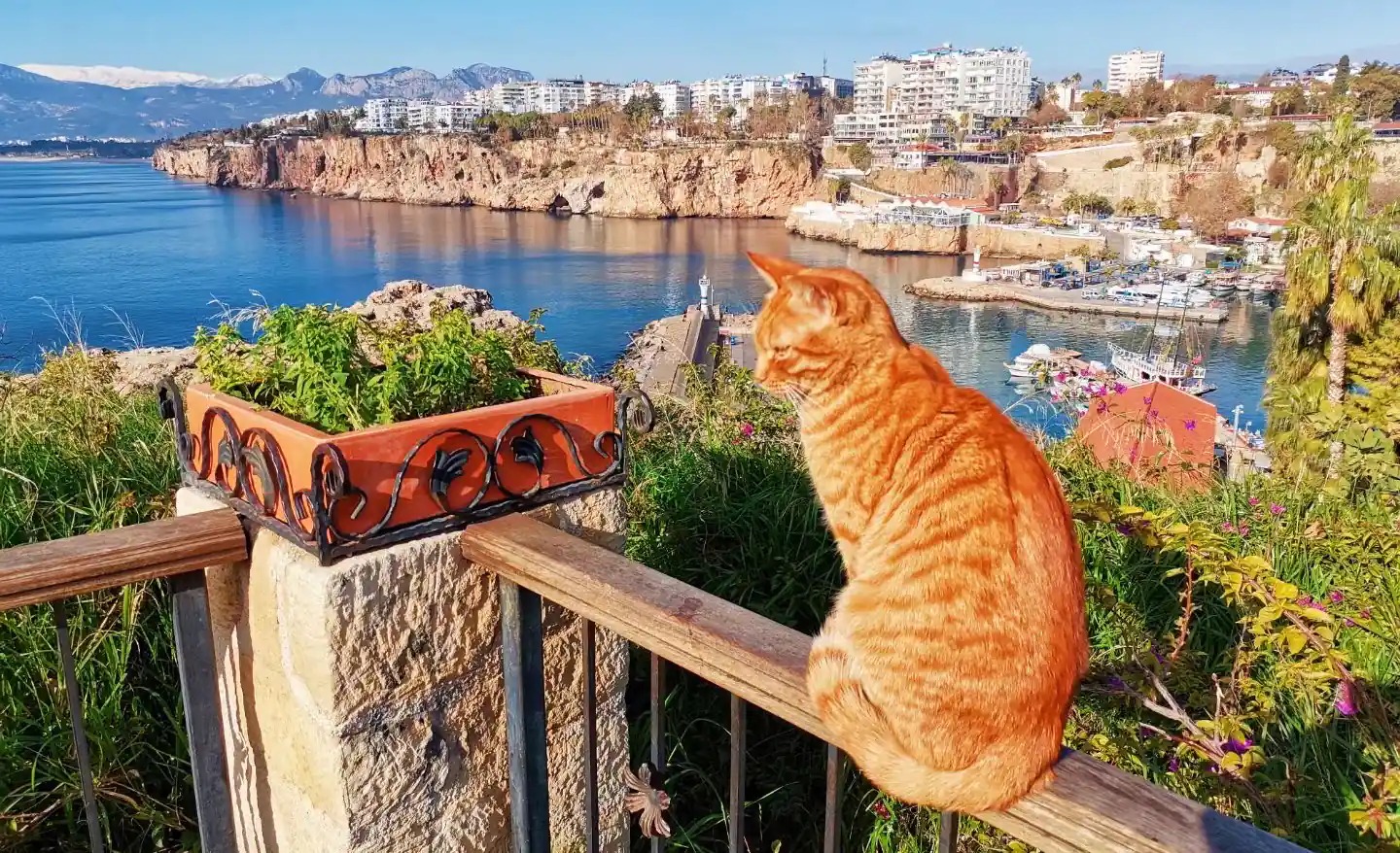 Karaalioğlu Parkı, Antalya, Kaleiçi, Eski Şehir, yeşil park, şehir manzarası, bahçeler, yürüyüş yolları, aile alanı, doğa, Akdeniz, dinlenme, ünlü park, oyun alanı, manzaralı noktalar